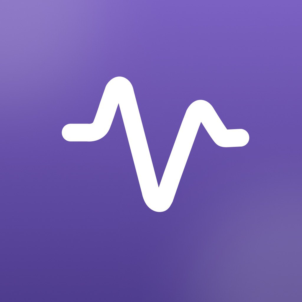 ViON Logo